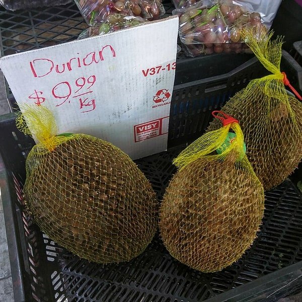 Durian Monthong