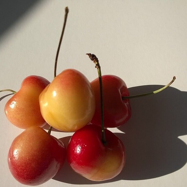 Rainier Cherry