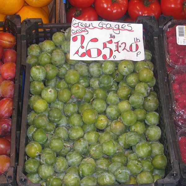 Greengage Plum