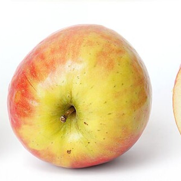 Braeburn Apple