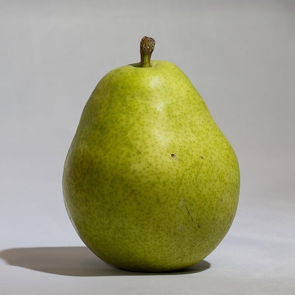 Seckel Pear